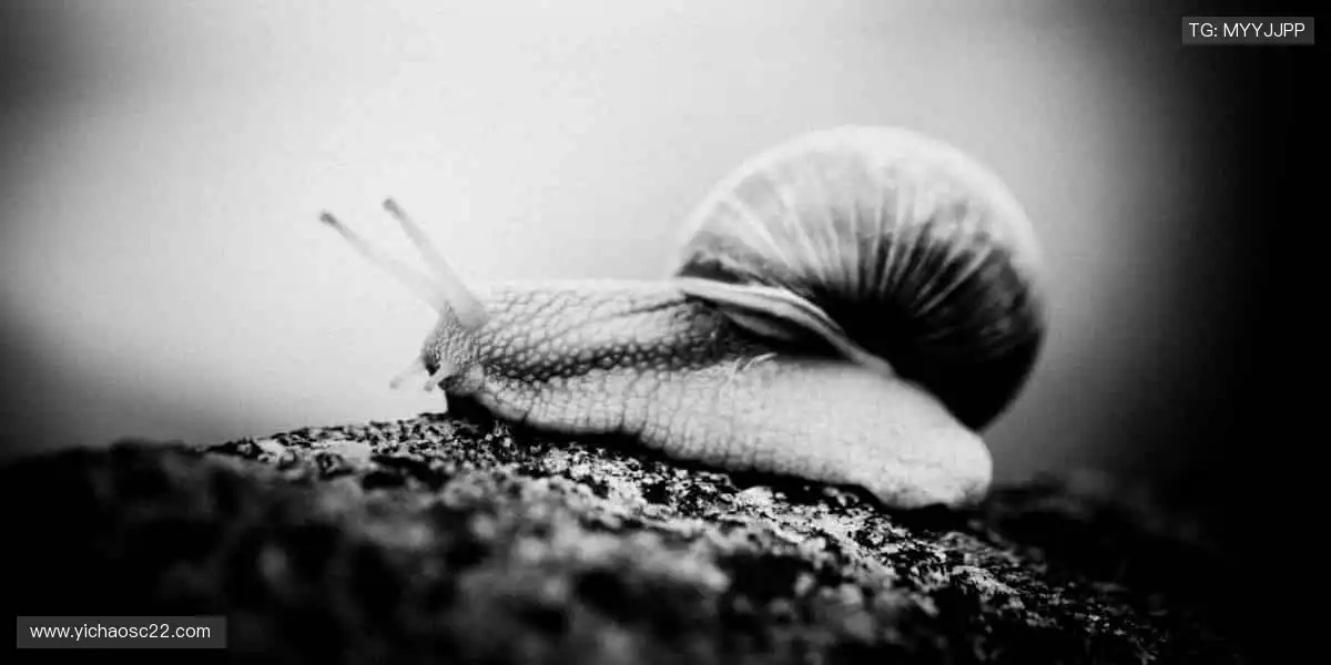 🚀从赛事到直播,再到周边,热爱永不缺席!✨